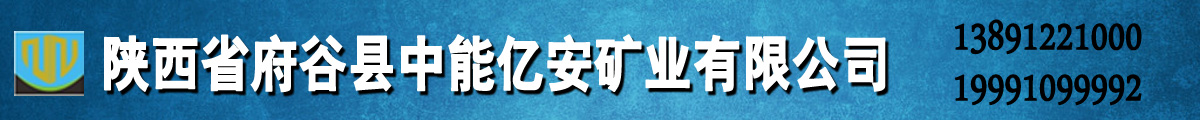 陝西省府穀縣中能億安礦業有限公司